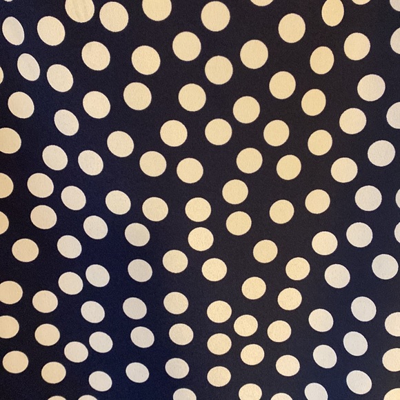 J Crew Navy Blue and White Polka Dot Shift Dress - Picture 4 of 6
